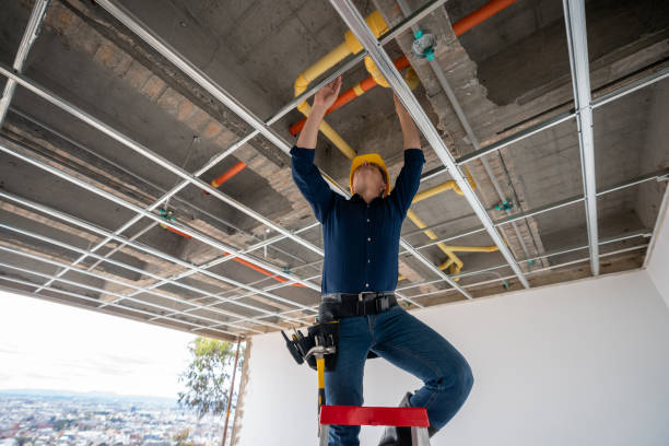 Best Plumbing Inspection Services  in Woodacre, CA